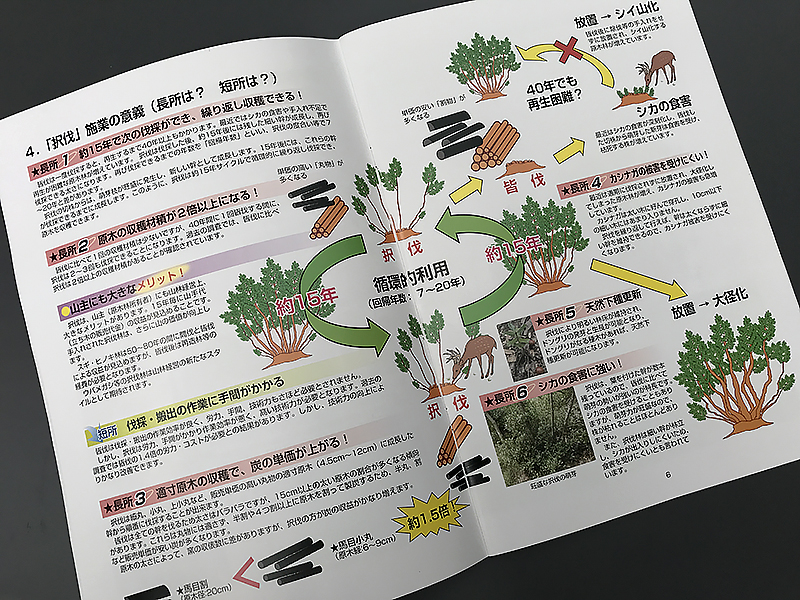 択伐技術マニュアル中面